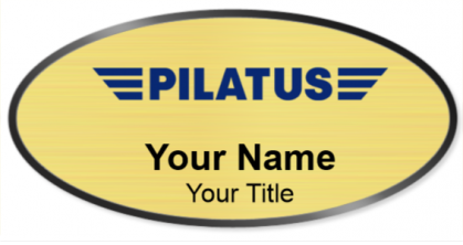 Pilatus Aircraft Template Image