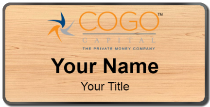 Cogo Capital Template Image