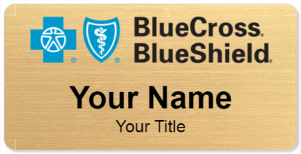 Blue Cross Blue Shield Association Template Image