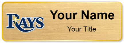 Custom name badges for Tampa Bay Rays