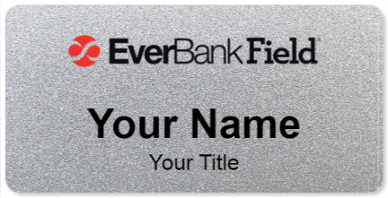 EverBank Field Template Image