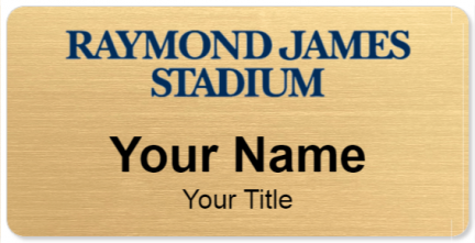 Raymond James Stadium Template Image